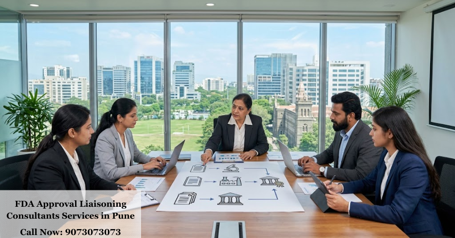 FDA Approval Liaisoning Consultants Services in Pune